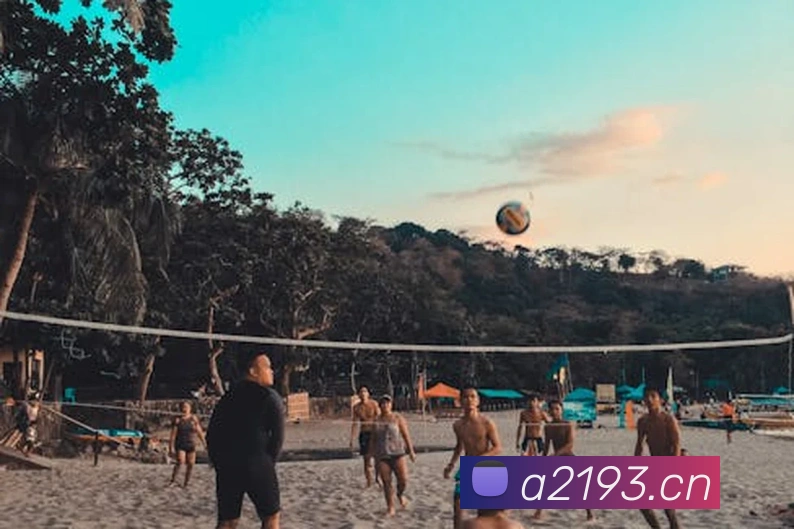 App Interface Preview