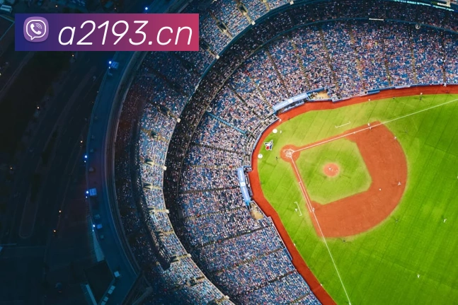 九游官方登录入口APP 封面图